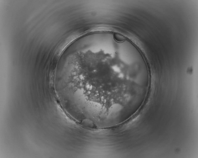 X0000113570953200910021626