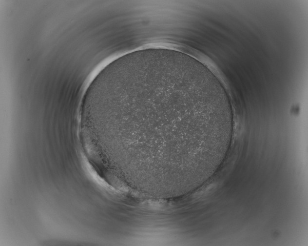 X0000113570955200910021626