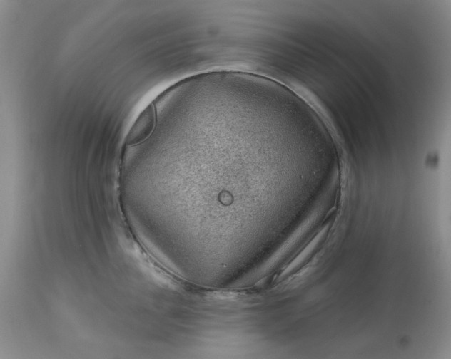 X0000113570956200910021626