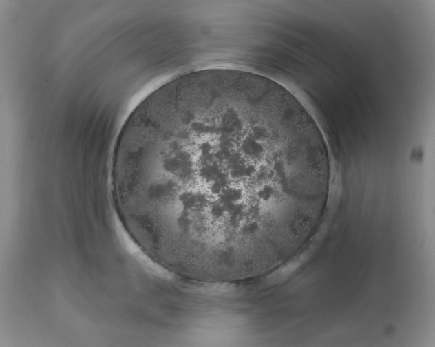 X0000113570957200910021626