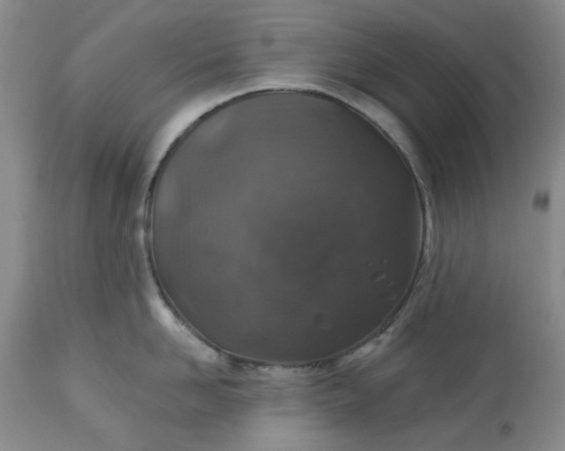 X0000113570958200910021626
