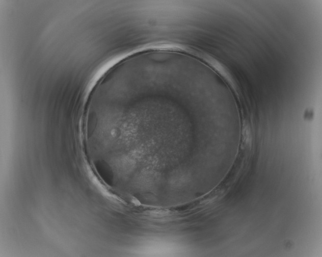 X0000113570959200910021626