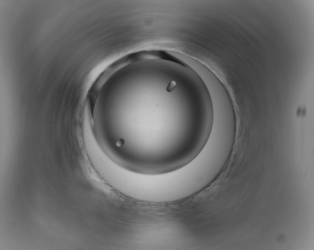 X0000113570960200910021626