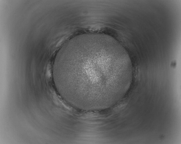 X0000113570962200910021625