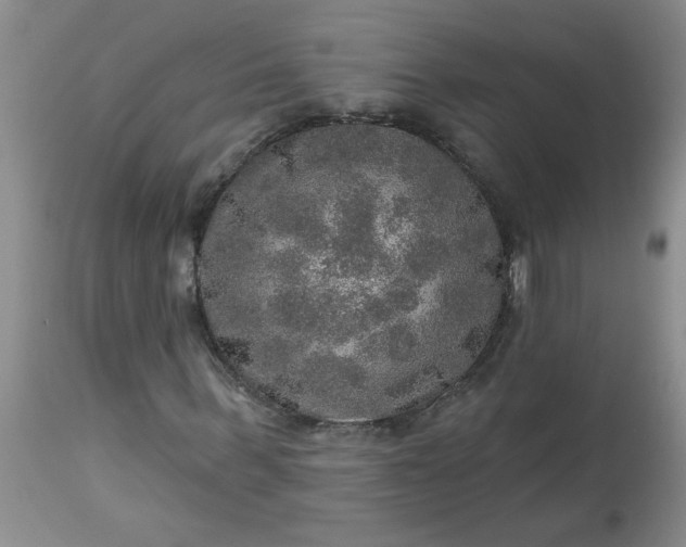 X0000113570963200910021625