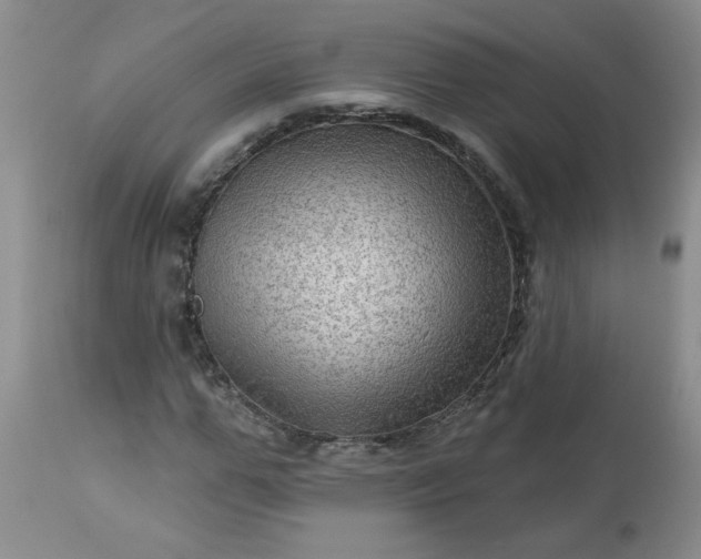 X0000113570967200910021625