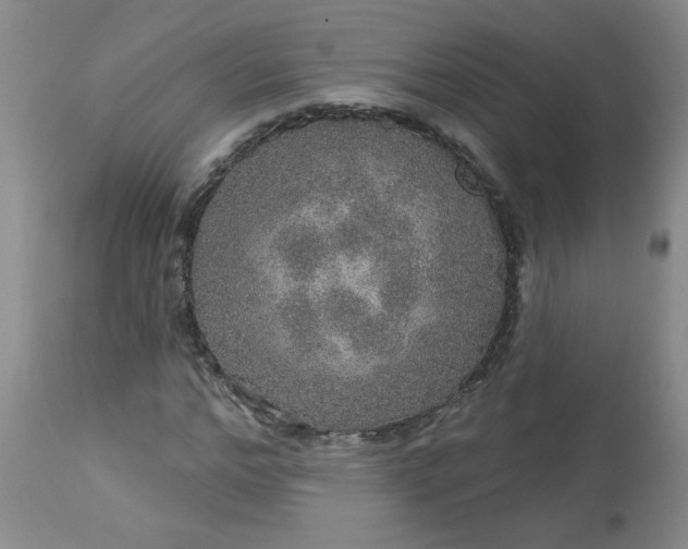 X0000113570968200910021625