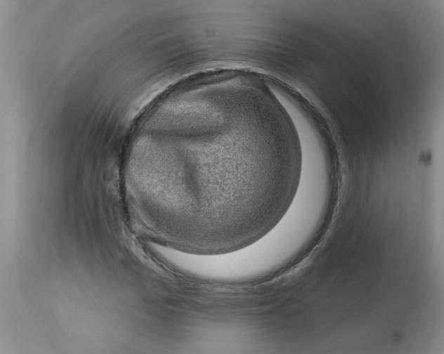 X0000113570969200910021625