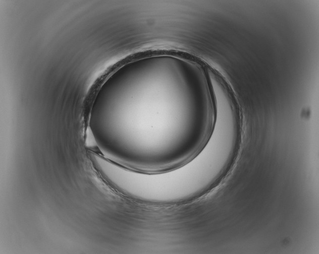 X0000113570973200910021625