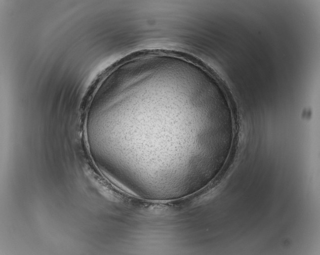 X0000113570974200910021625