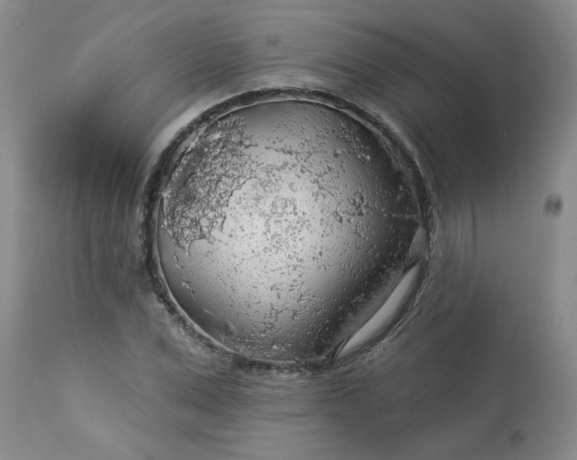 X0000113570975200910021625