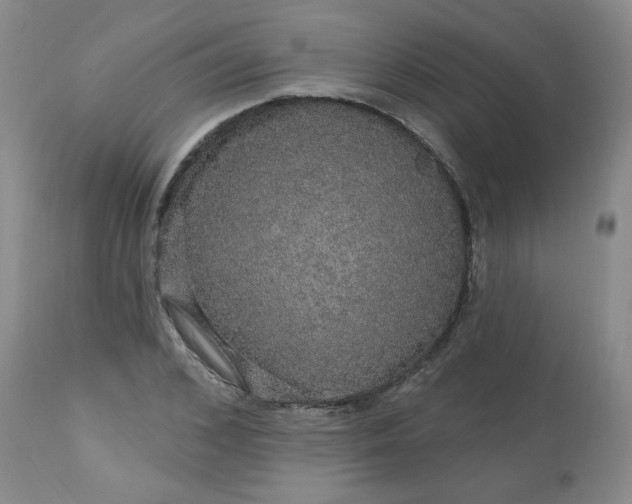 X0000113570976200910021625