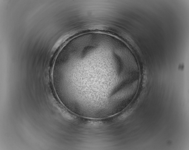 X0000113570978200910021625