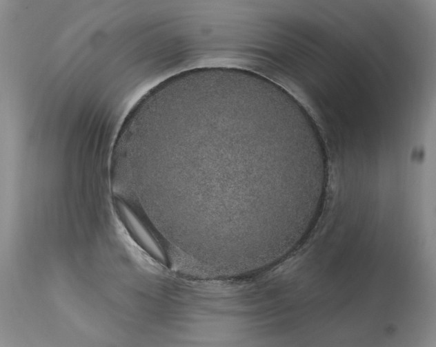 X0000113570980200910021625