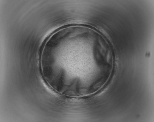 X0000113570981200910021625
