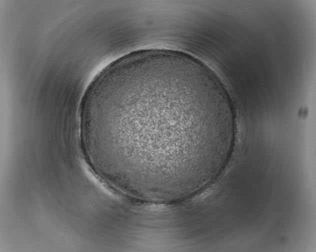 X0000113570982200910021625