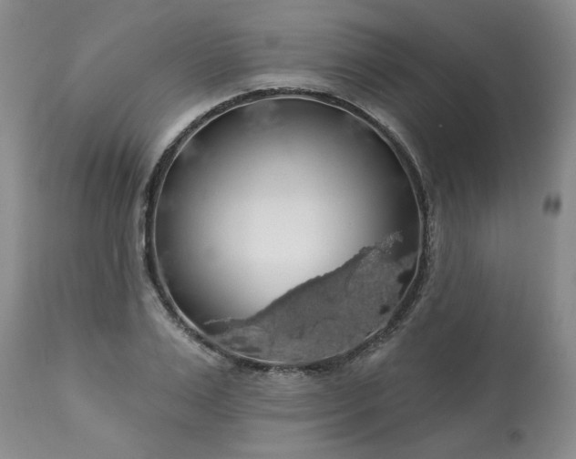 X0000113570983200910021625