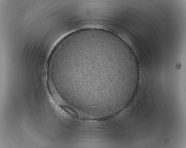 X0000113570984200910021625