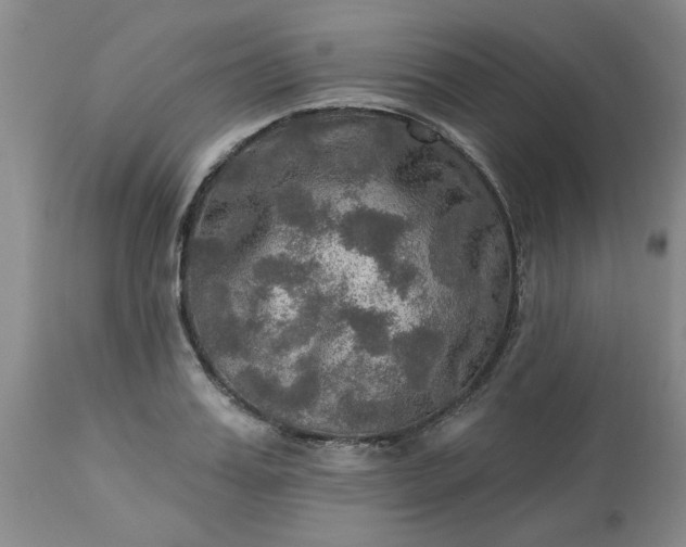 X0000113570987200910021625