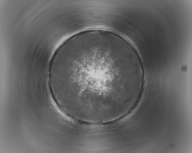X0000113570989200910021625
