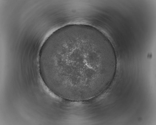 X0000113570990200910021625