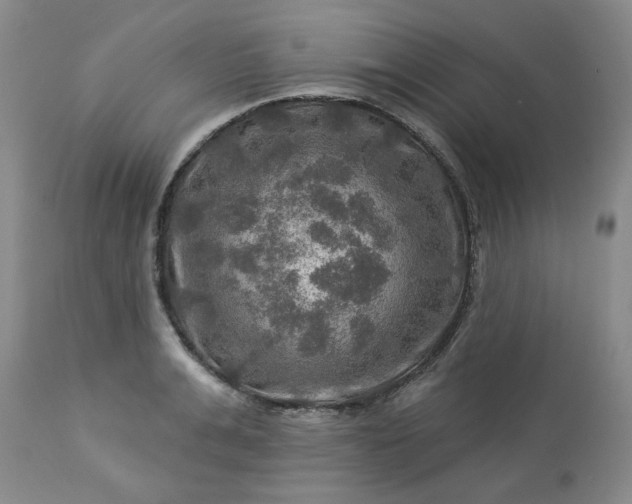 X0000113570991200910021625