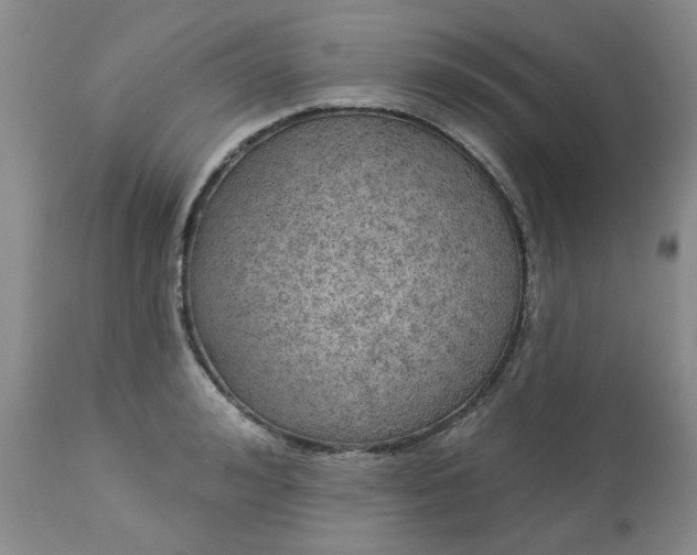 X0000113570992200910021625