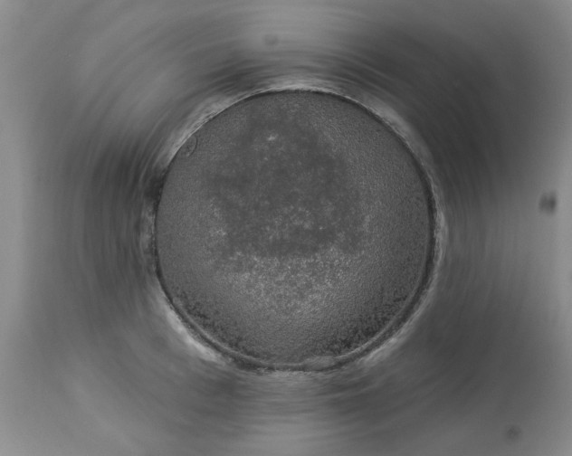 X0000113570993200910021625
