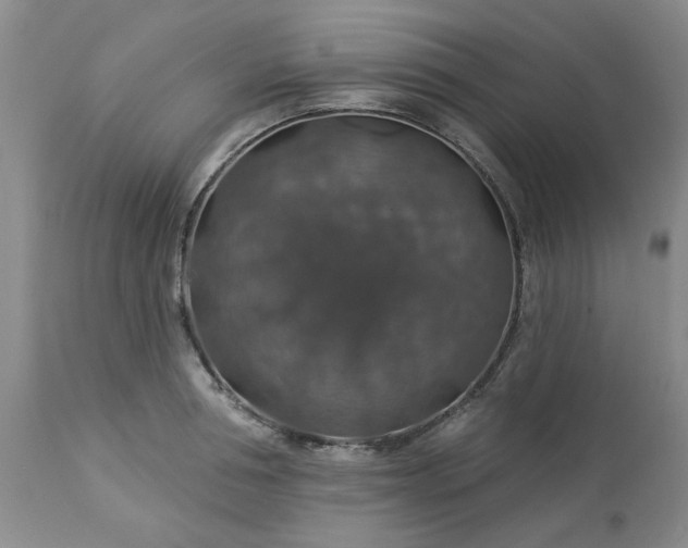 X0000113570994200910021625