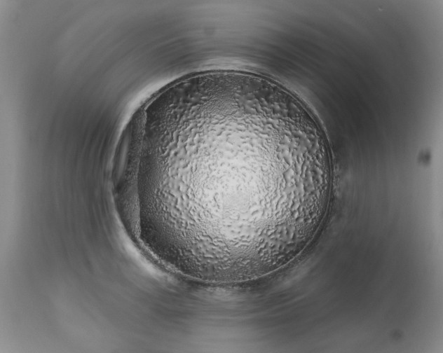 X0000113570995200910021625