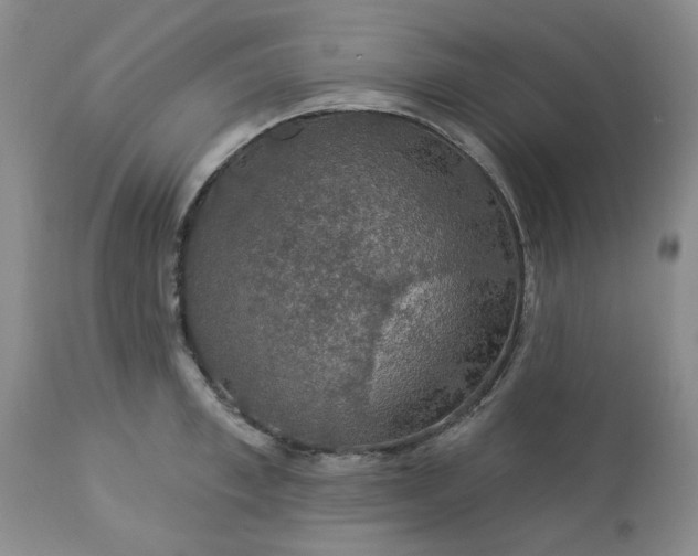 X0000113570997200910021625