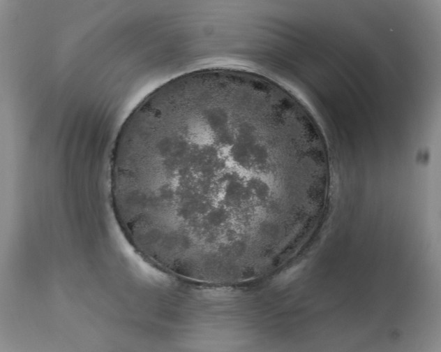 X0000113570999200910021625