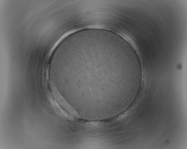 X0000113571000200910021625