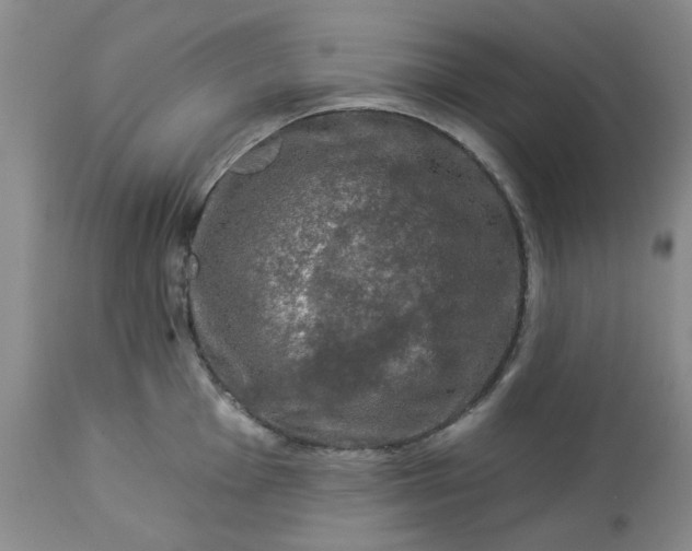X0000113571001200910021625
