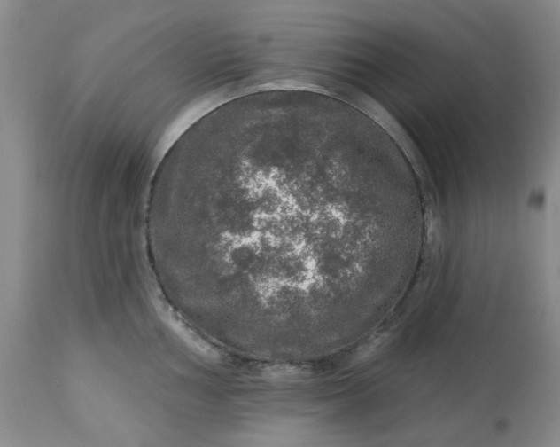 X0000113571002200910021625