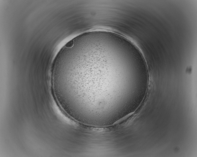 X0000113571003200910021625