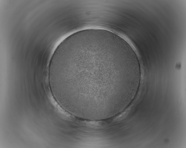 X0000113571004200910021625