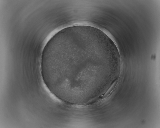 X0000113571005200910021625