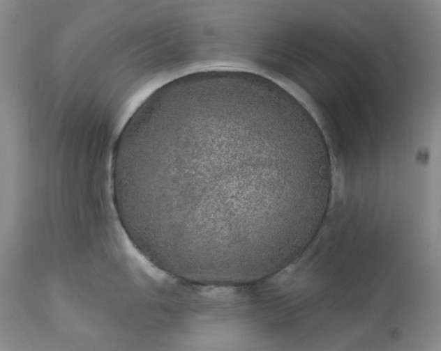 X0000113571006200910021625