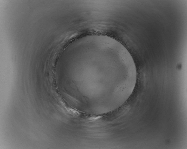 X0000113571009200910021624