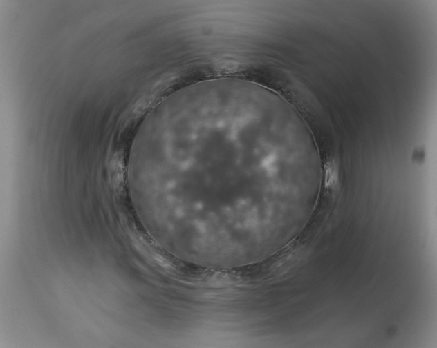X0000113571011200910021624