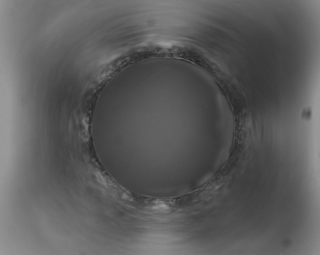 X0000113571013200910021624