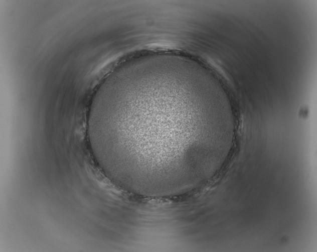 X0000113571015200910021624