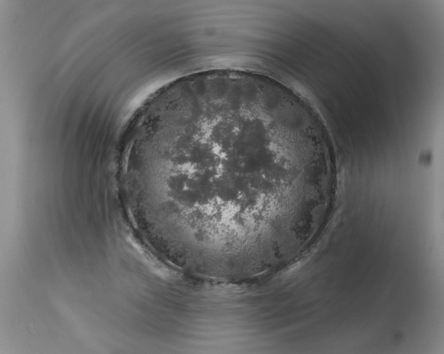 X0000113571019200910021624