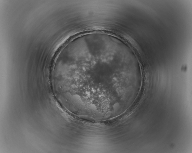 X0000113571023200910021624