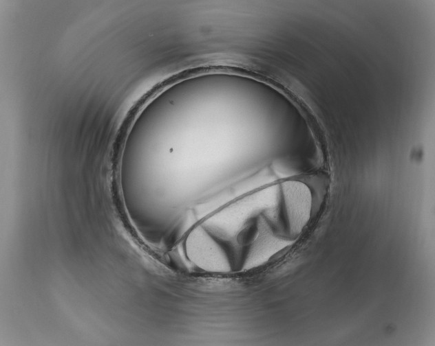 X0000113571024200910021624