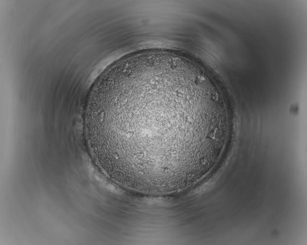 X0000113571025200910021624