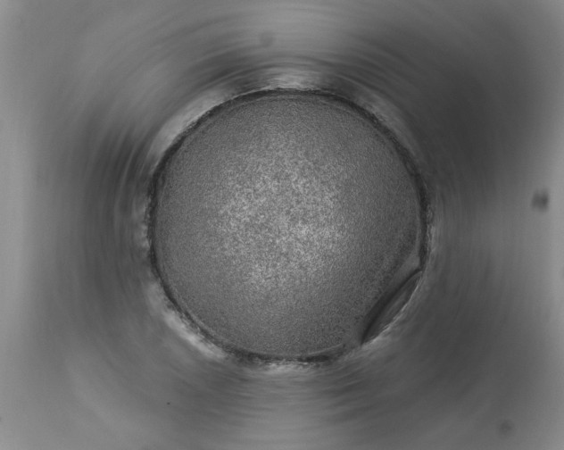 X0000113571026200910021624