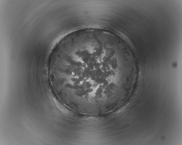 X0000113571027200910021624