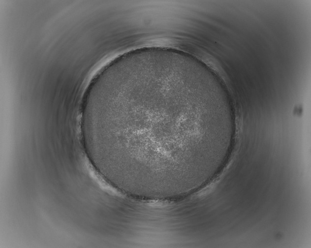 X0000113571029200910021624